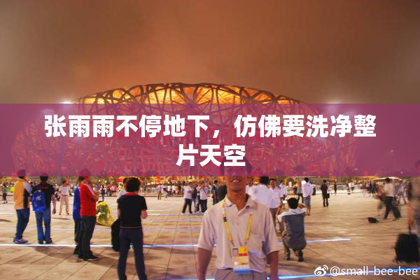 张雨雨不停地下，仿佛要洗净整片天空