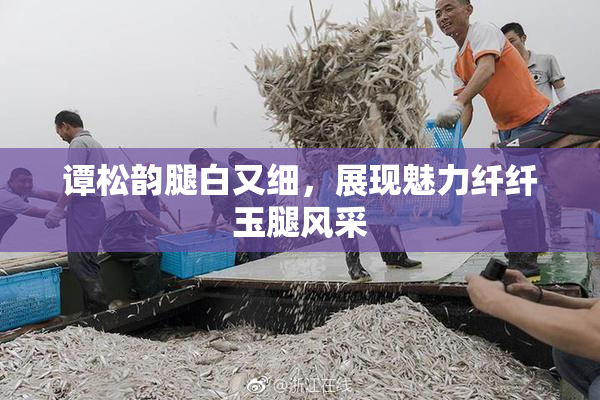谭松韵腿白又细，展现魅力纤纤玉腿风采