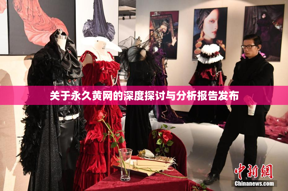 关于永久黄网的深度探讨与分析报告发布
