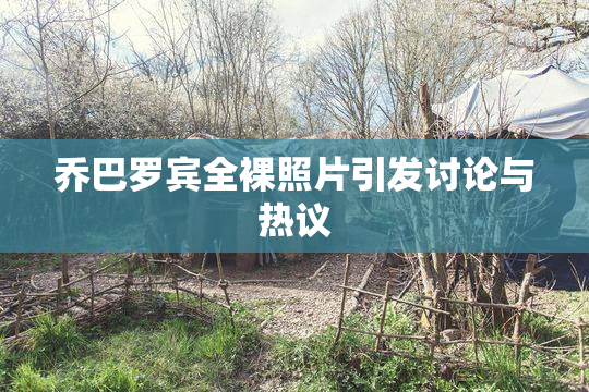 乔巴罗宾全裸照片引发讨论与热议