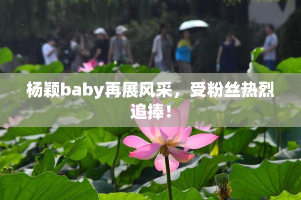 杨颖baby再展风采，受粉丝热烈追捧！