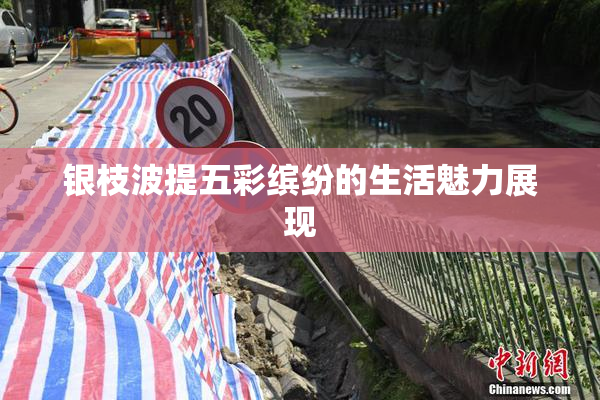 银枝波提五彩缤纷的生活魅力展现