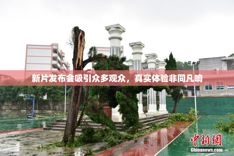 新片发布会吸引众多观众，真实体验非同凡响