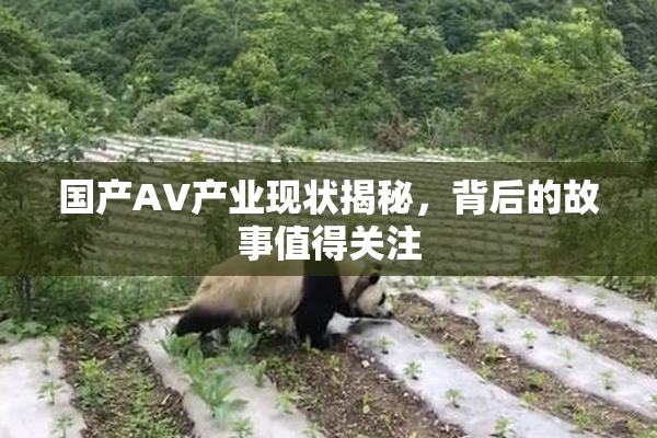 国产AV产业现状揭秘，背后的故事值得关注