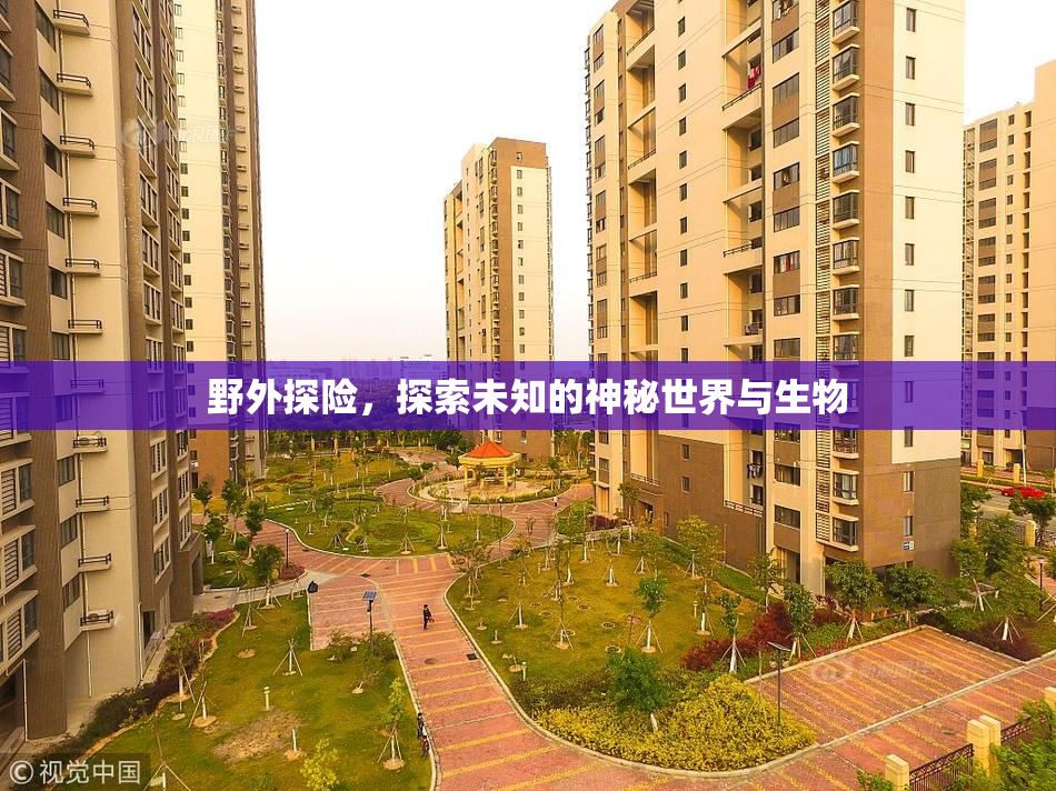 野外探险，探索未知的神秘世界与生物