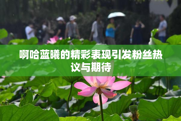 啊哈蓝曦的精彩表现引发粉丝热议与期待