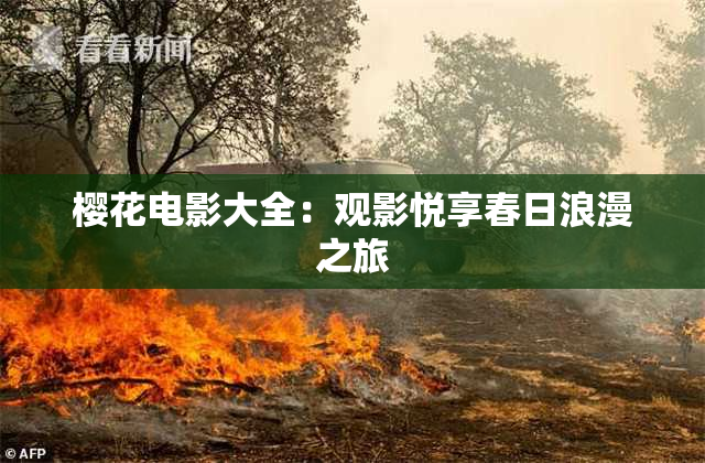 樱花电影大全：观影悦享春日浪漫之旅