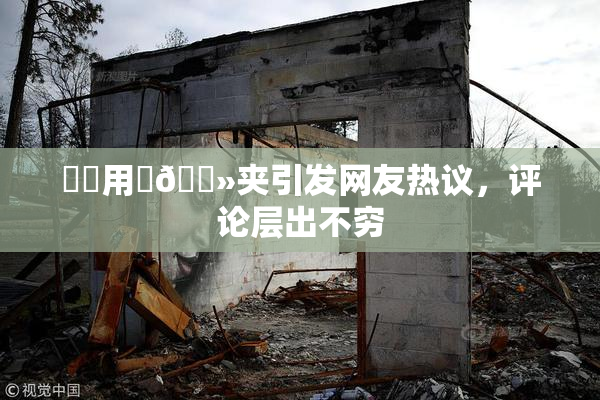 妺妺用‌🐻夹引发网友热议，评论层出不穷