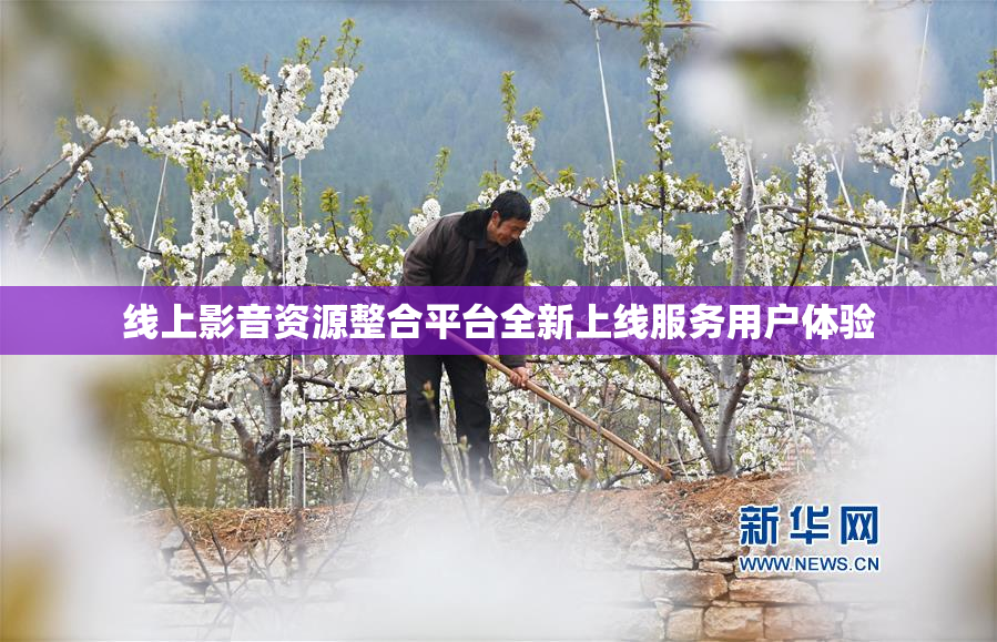 线上影音资源整合平台全新上线服务用户体验