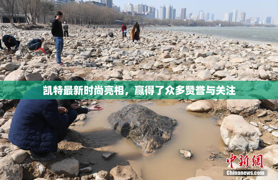 凯特最新时尚亮相，赢得了众多赞誉与关注