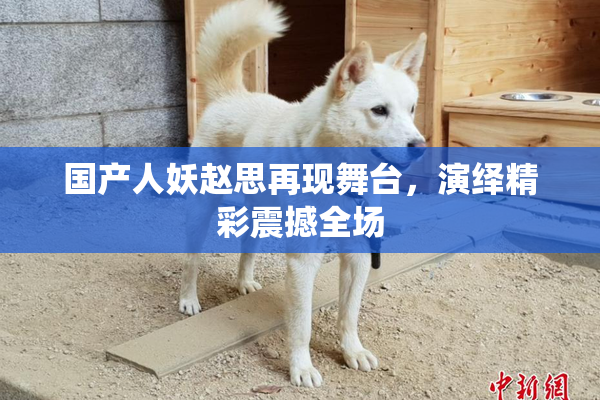 国产人妖赵思再现舞台，演绎精彩震撼全场
