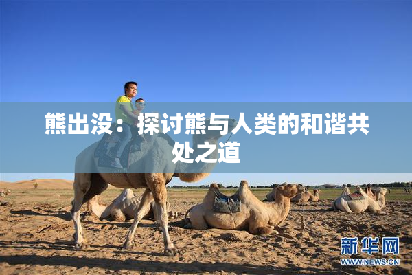 熊出没：探讨熊与人类的和谐共处之道