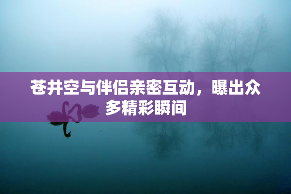 苍井空与伴侣亲密互动，曝出众多精彩瞬间
