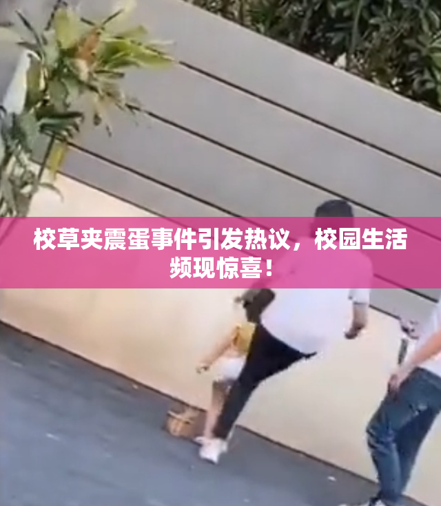 校草夹震蛋事件引发热议，校园生活频现惊喜！