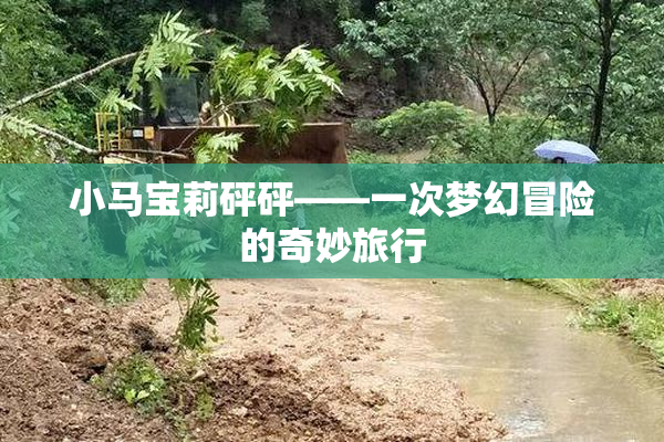 小马宝莉砰砰——一次梦幻冒险的奇妙旅行