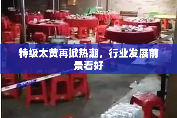 特级太黄再掀热潮，行业发展前景看好