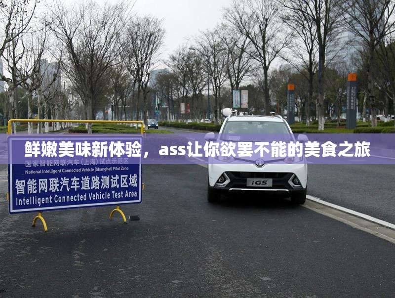 鲜嫩美味新体验，ass让你欲罢不能的美食之旅