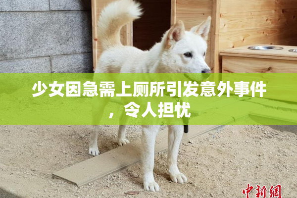 少女因急需上厕所引发意外事件，令人担忧
