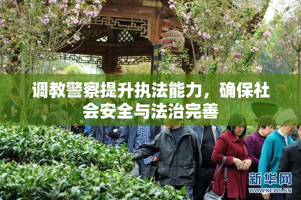 调教警察提升执法能力，确保社会安全与法治完善