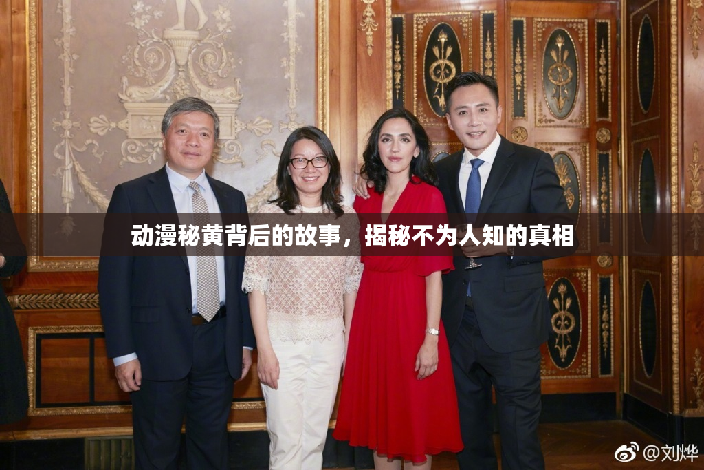 动漫秘黄背后的故事，揭秘不为人知的真相