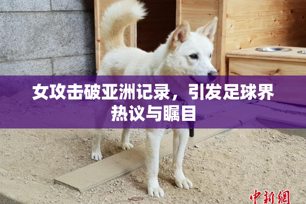 女攻击破亚洲记录，引发足球界热议与瞩目
