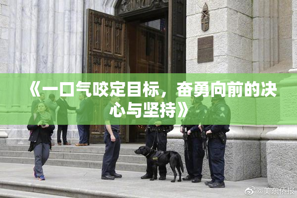 《一口气咬定目标，奋勇向前的决心与坚持》