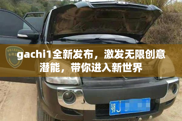 gachi1全新发布，激发无限创意潜能，带你进入新世界