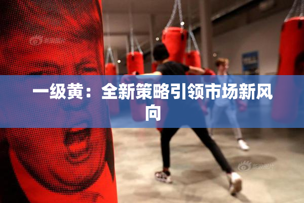 一级黄：全新策略引领市场新风向