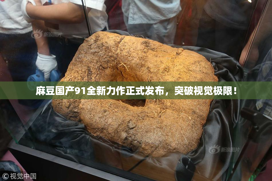 麻豆国产91全新力作正式发布，突破视觉极限！