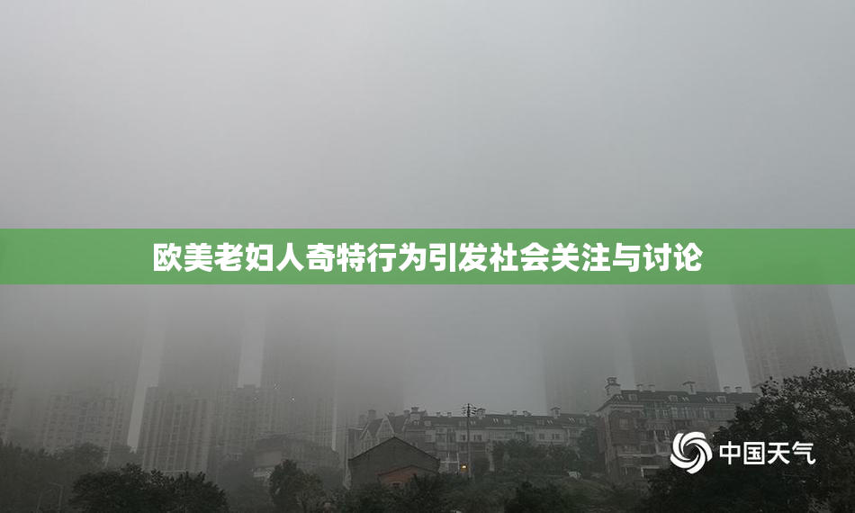 欧美老妇人奇特行为引发社会关注与讨论