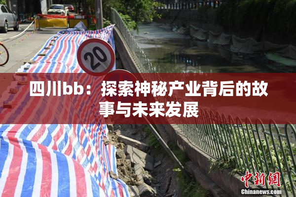 四川bb：探索神秘产业背后的故事与未来发展