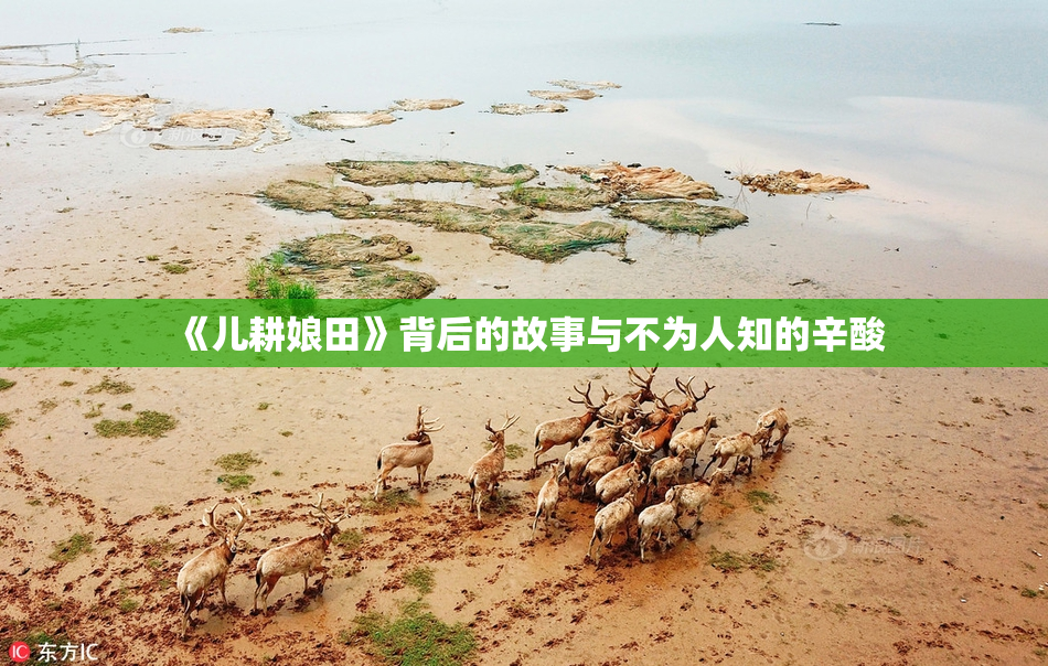 《儿耕娘田》背后的故事与不为人知的辛酸