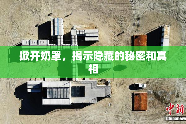 掀开奶罩，揭示隐藏的秘密和真相