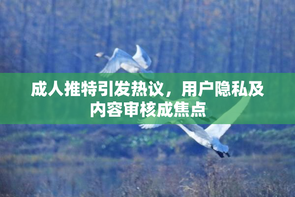 成人推特引发热议，用户隐私及内容审核成焦点