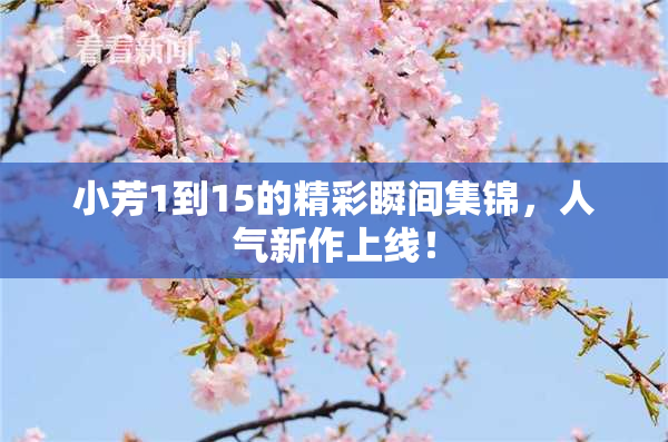 小芳1到15的精彩瞬间集锦，人气新作上线！