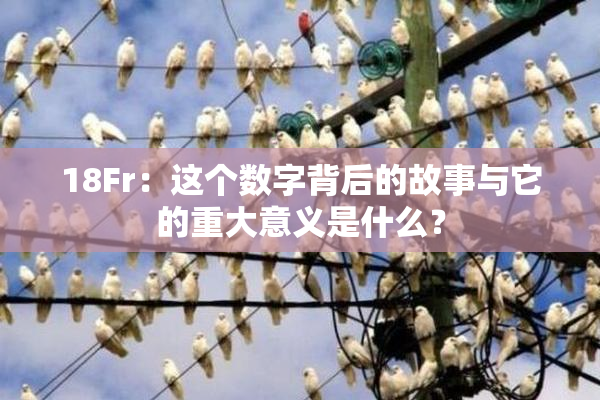 18Fr：这个数字背后的故事与它的重大意义是什么？