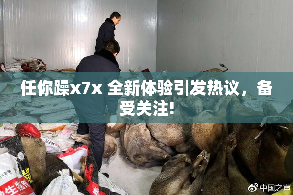 任你躁x7x 全新体验引发热议，备受关注!
