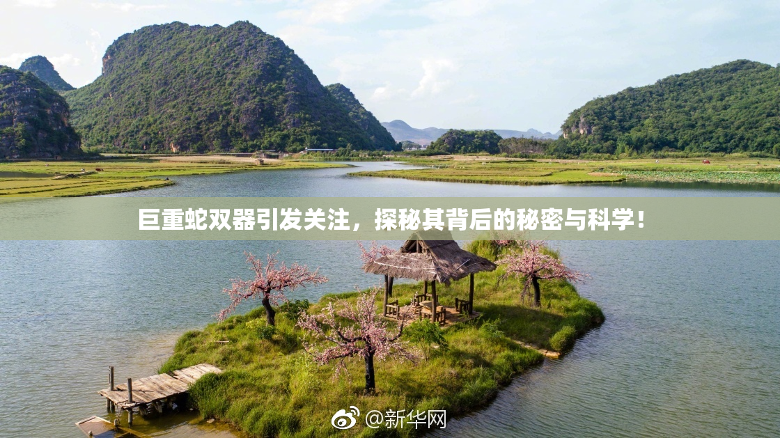 巨重蛇双器引发关注，探秘其背后的秘密与科学！