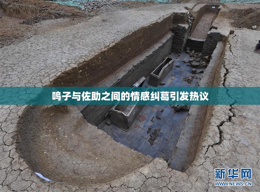 鸣子与佐助之间的情感纠葛引发热议