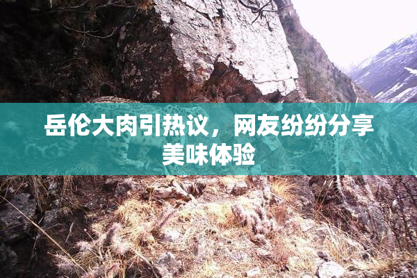 岳伦大肉引热议，网友纷纷分享美味体验