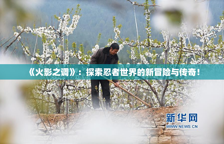 《火影之调》：探索忍者世界的新冒险与传奇！