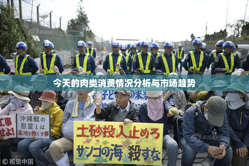 今天的肉类消费情况分析与市场趋势