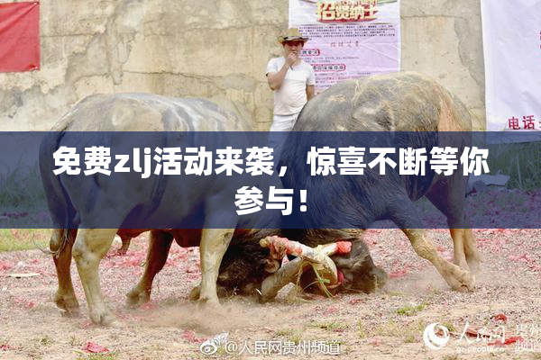 免费zlj活动来袭，惊喜不断等你参与！