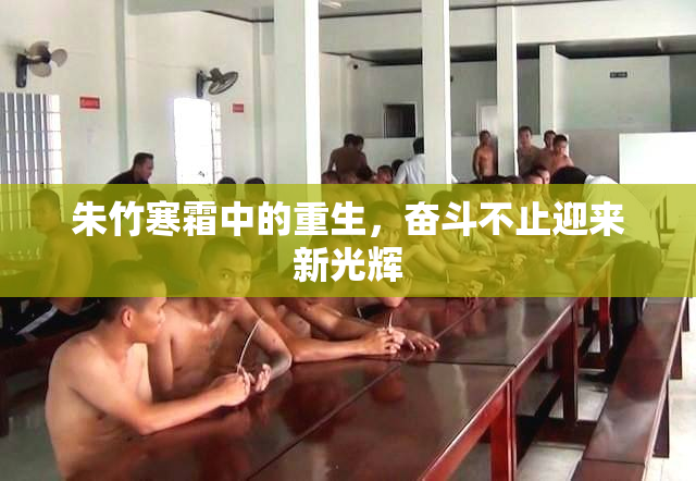 朱竹寒霜中的重生，奋斗不止迎来新光辉