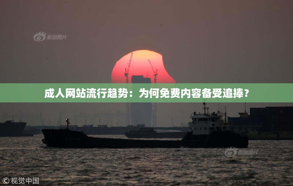 成人网站流行趋势：为何免费内容备受追捧？