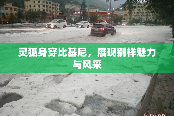 灵狐身穿比基尼，展现别样魅力与风采