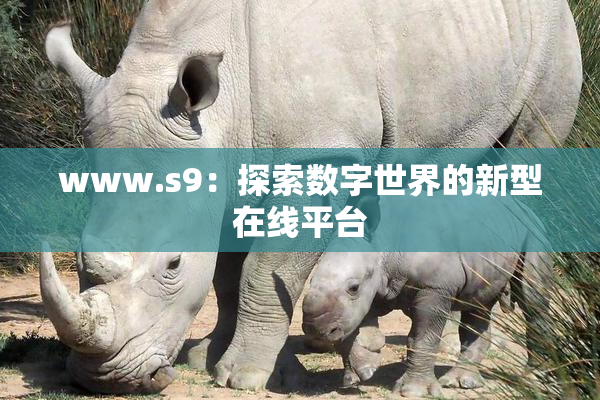 www.s9：探索数字世界的新型在线平台