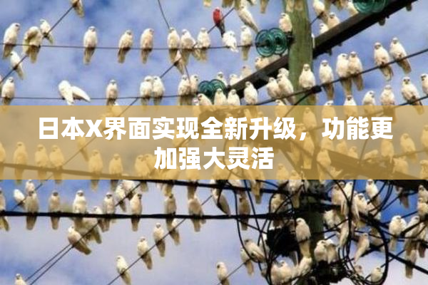 日本X界面实现全新升级，功能更加强大灵活