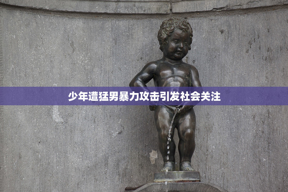 少年遭猛男暴力攻击引发社会关注
