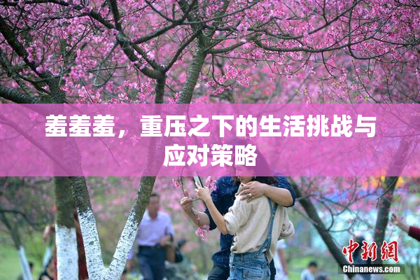 羞羞羞，重压之下的生活挑战与应对策略